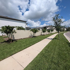 Total Landscape Install In Wesley Chapel, FL 5